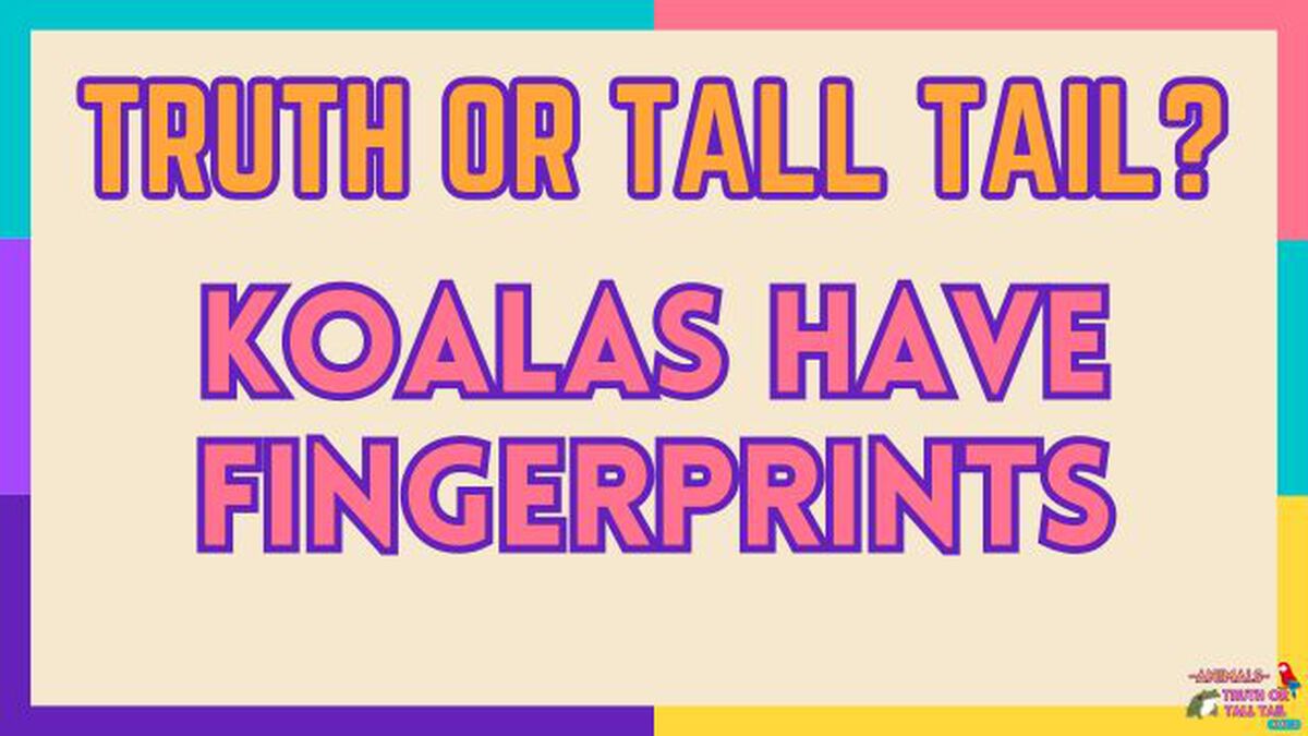 Animals: Truth or Tall Tail - Vol. 3 image number null